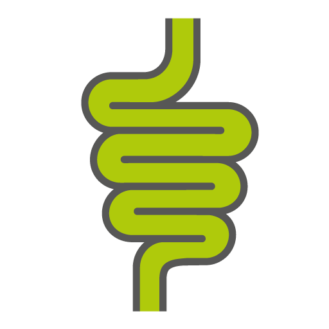 Koloskopievorbereitung Download